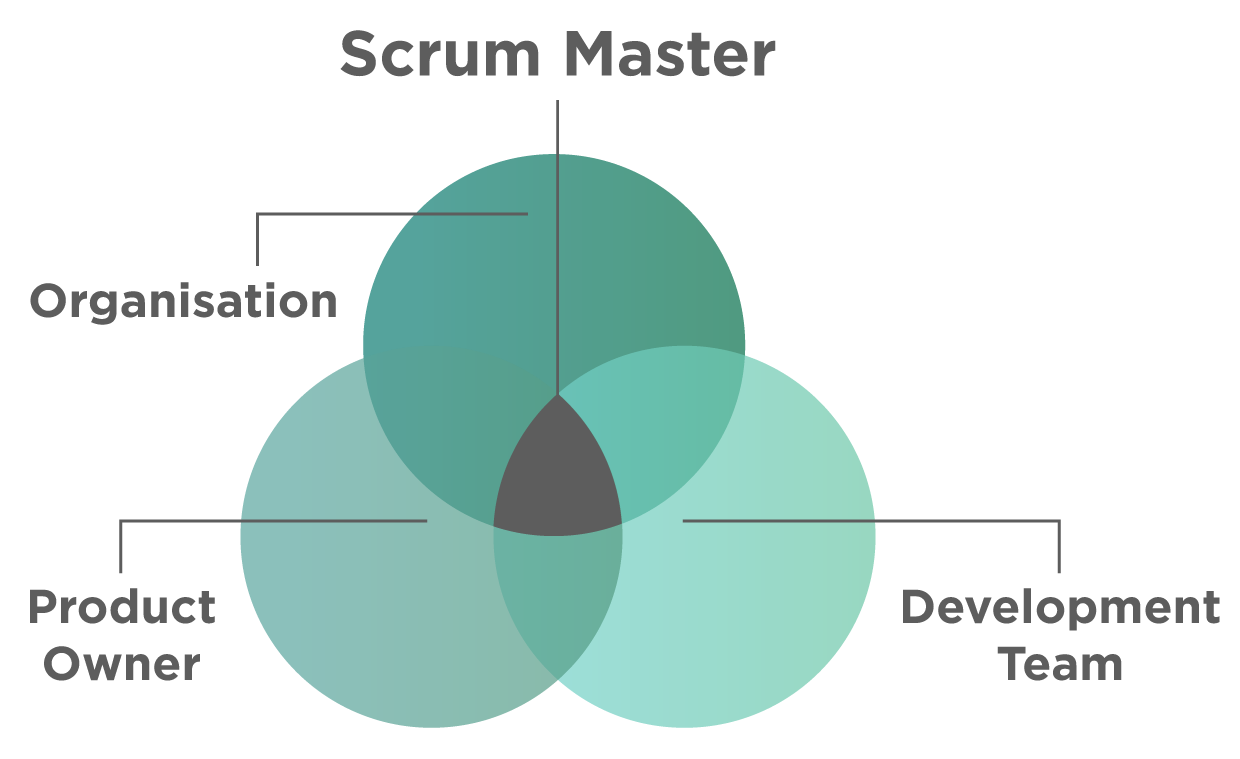 Scrum Master