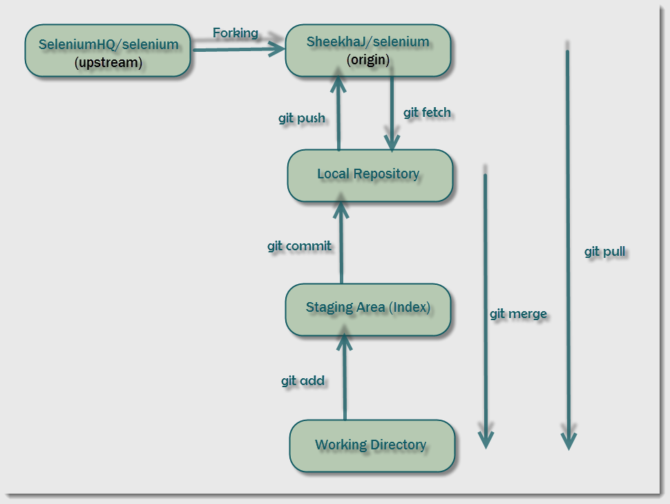 Git Terminologies