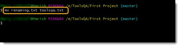 Renaming File Outside Git