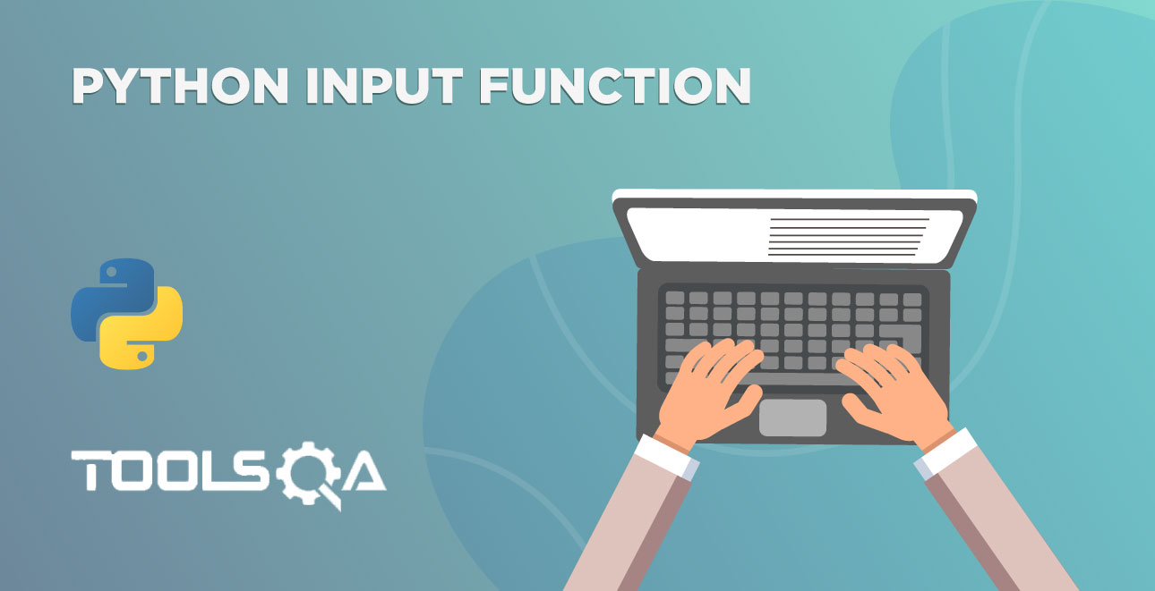 How to write Python Input Function with Arguments and Return Type?