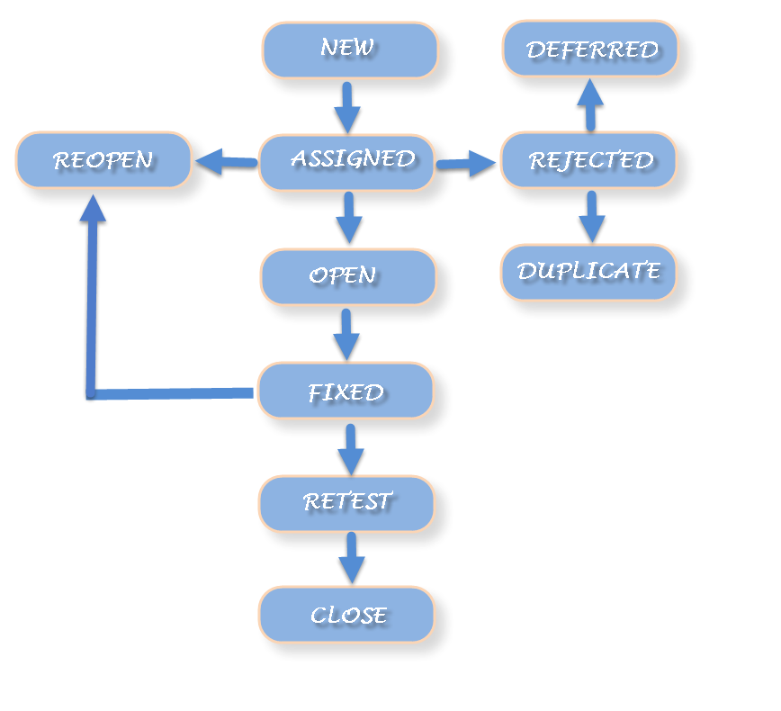 Defect Life Cycle