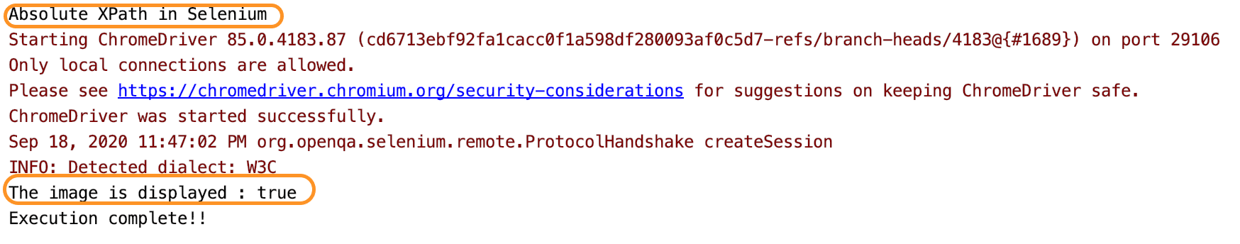 Console Output of running Selenium tests with Absolute XPath